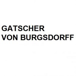 Gatscher von Burgsdorff Photopainting